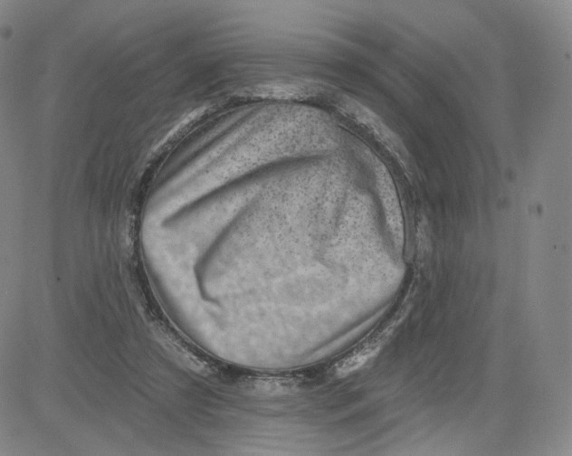 X0000080720305200701051041