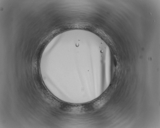 X0000080720306200701051041