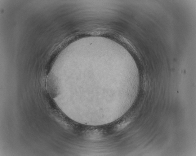 X0000080720307200701051041