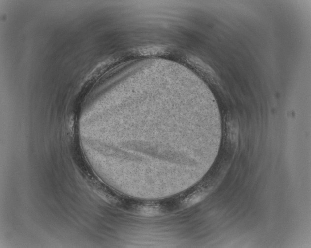 X0000080720308200701051041