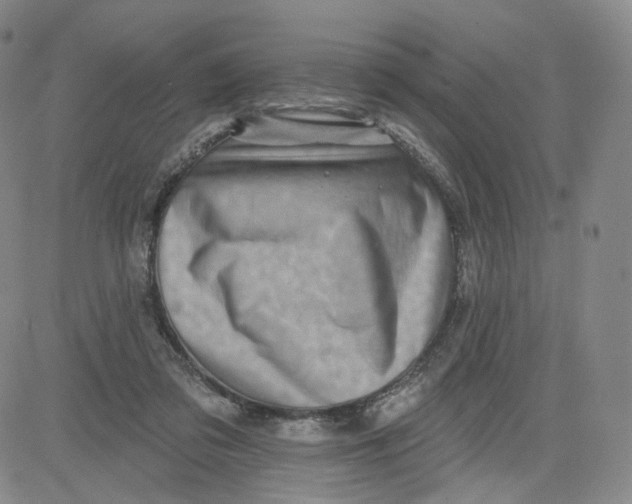 X0000080720309200701051041