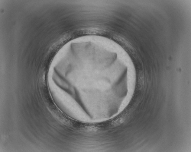 X0000080720310200701051041