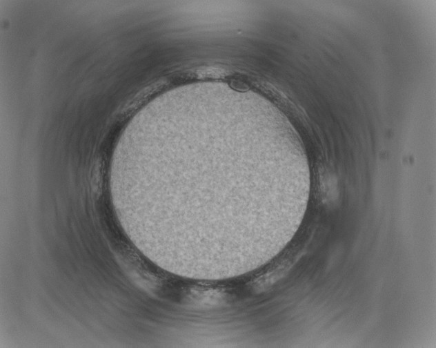 X0000080720311200701051041