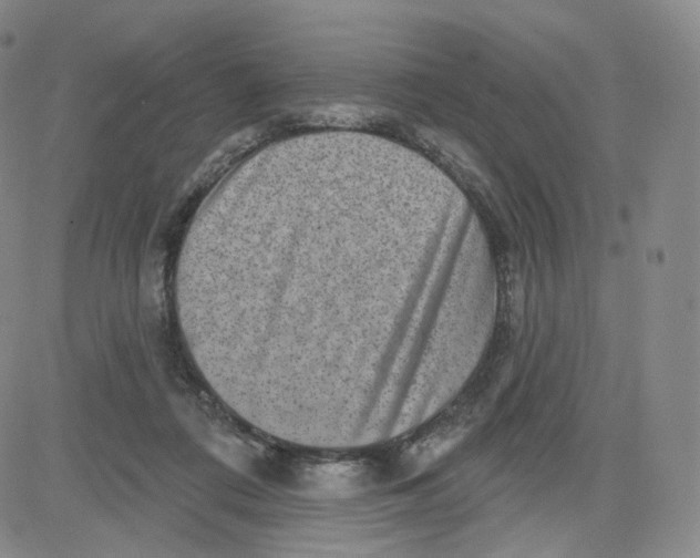 X0000080720312200701051041