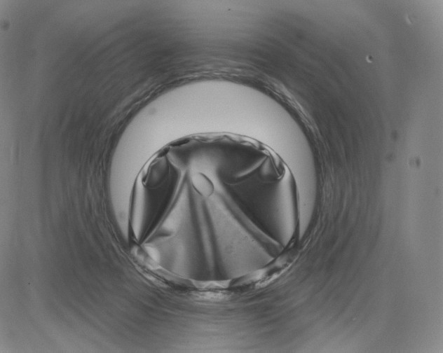 X0000080720313200701051041