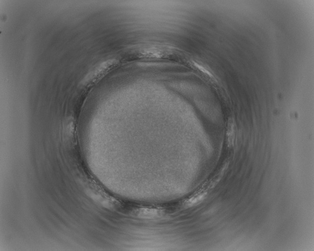 X0000080720314200701051041