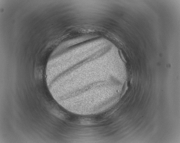 X0000080720315200701051041