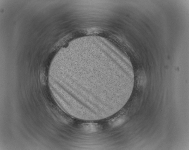 X0000080720316200701051041