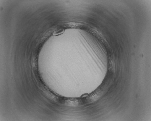 X0000080720317200701051041