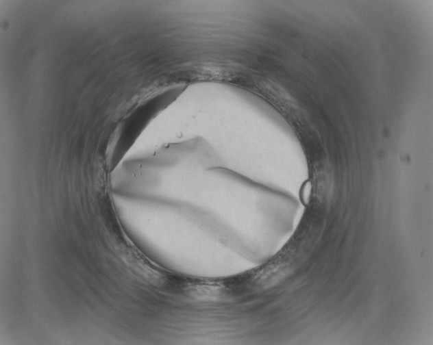 X0000080720318200701051040