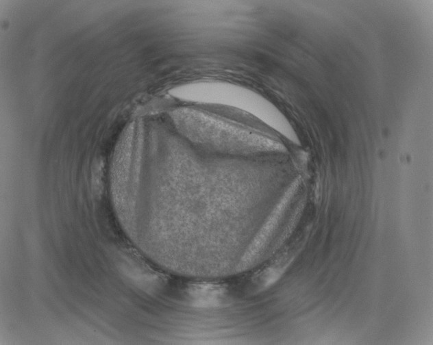 X0000080720319200701051040