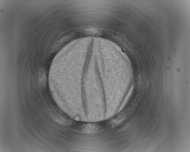 X0000080720320200701051040