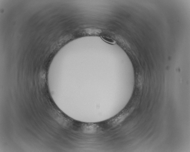 X0000080720321200701051040