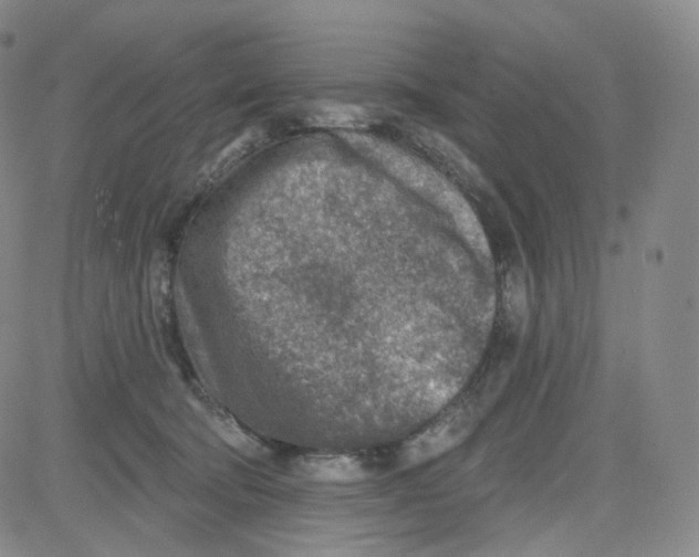 X0000080720322200701051040