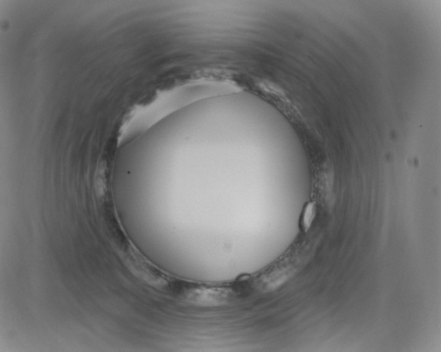 X0000080720323200701051040