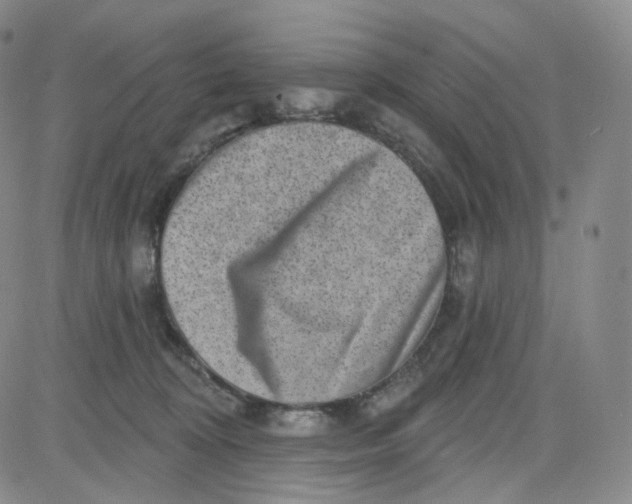 X0000080720324200701051040