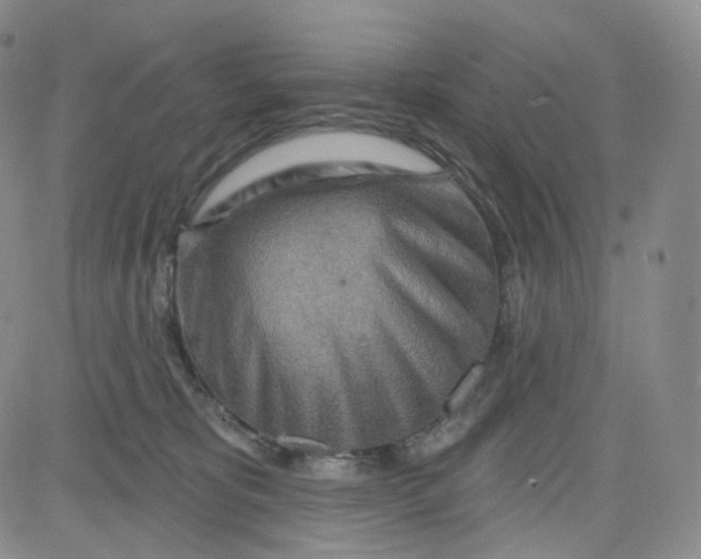 X0000080720325200701051040