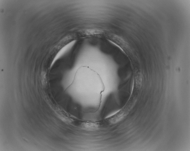 X0000080720327200701051040