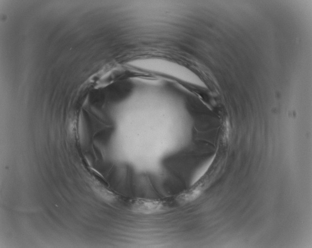 X0000080720329200701051040