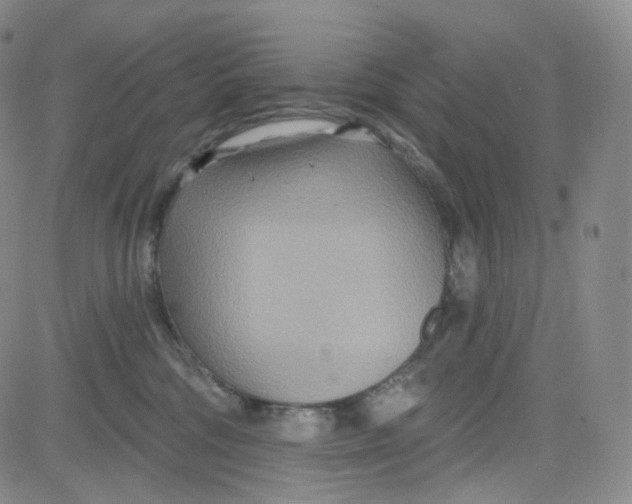 X0000080720330200701051040