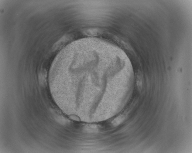 X0000080720332200701051040