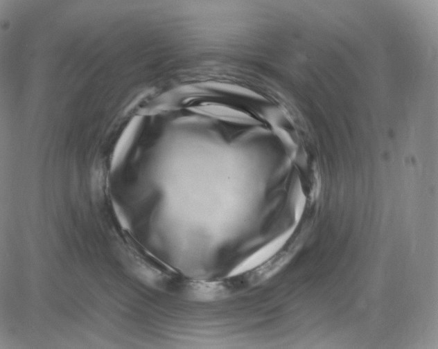 X0000080720333200701051040