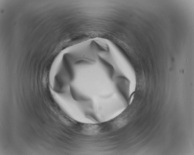 X0000080720334200701051040