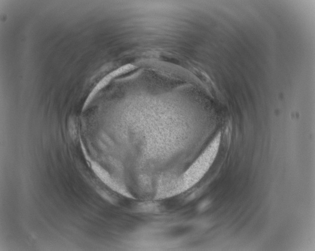 X0000080720335200701051040