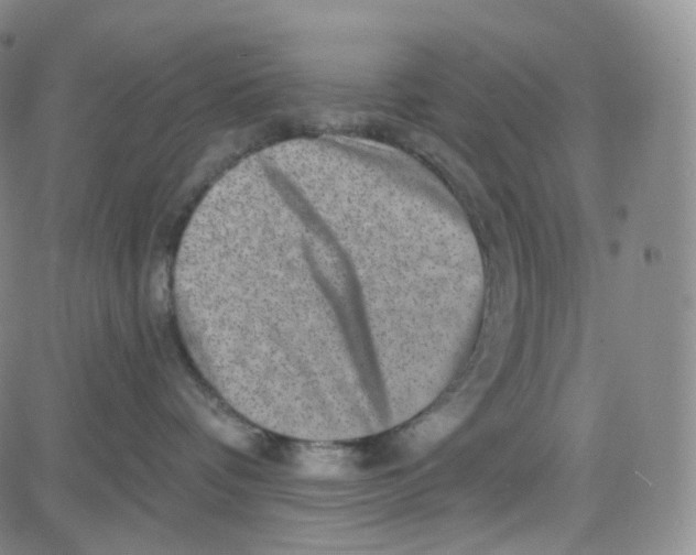 X0000080720336200701051040