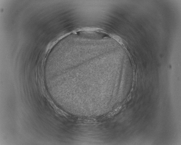 X0000080720337200701051039