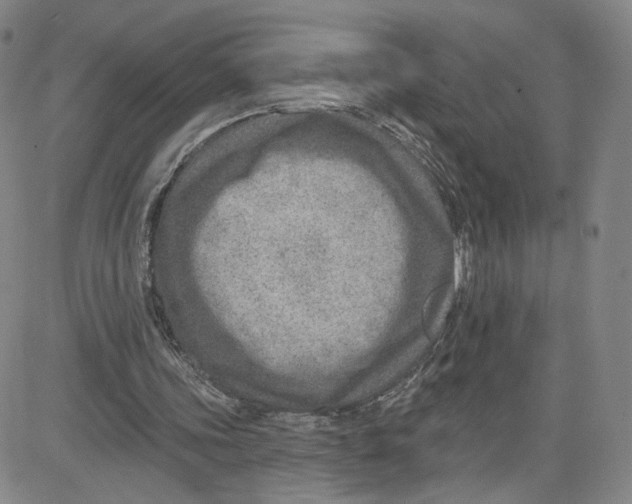 X0000080720339200701051039