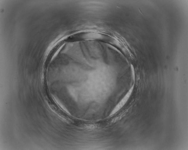 X0000080720344200701051040