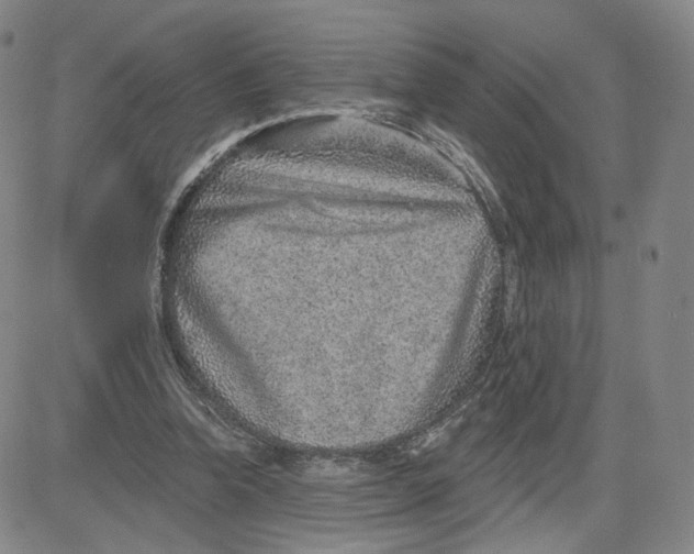 X0000080720346200701051040