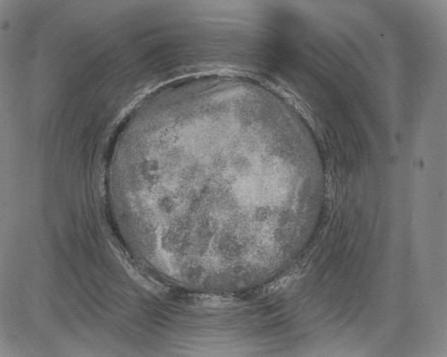 X0000080720347200701051040