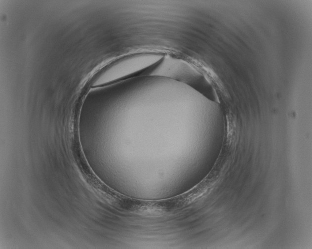 X0000080720348200701051040