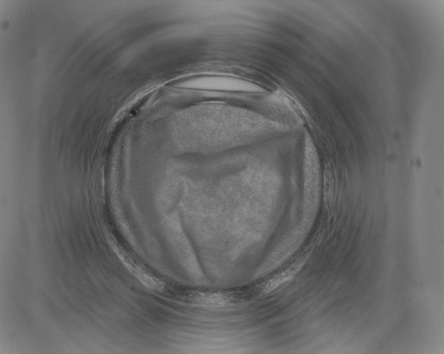 X0000080720349200701051040