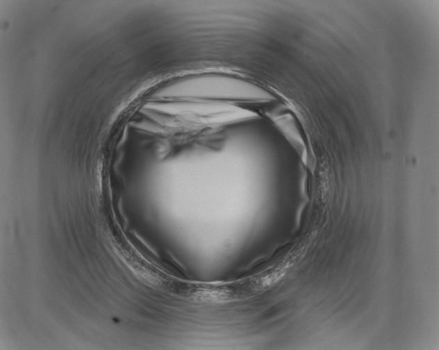 X0000080720350200701051040