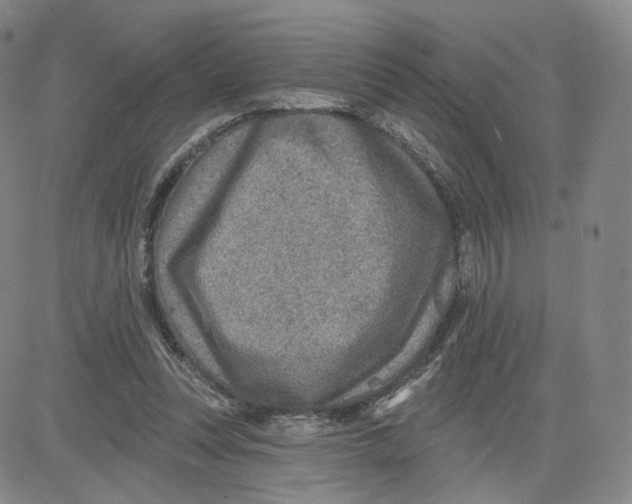 X0000080720351200701051040