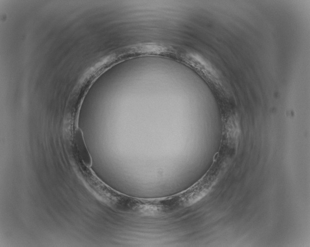 X0000080720352200701051040