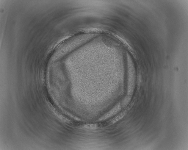 X0000080720353200701051040