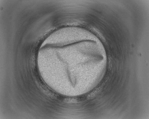 X0000080720354200701051040