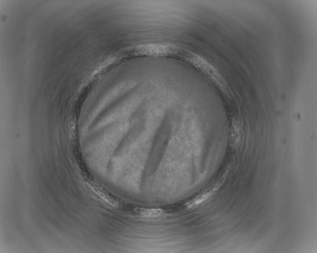 X0000080720355200701051040