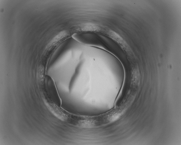 X0000080720356200701051040