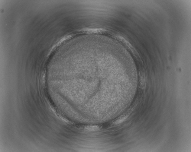 X0000080720357200701051040