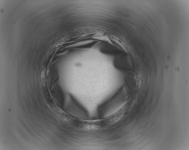 X0000080720360200701051040