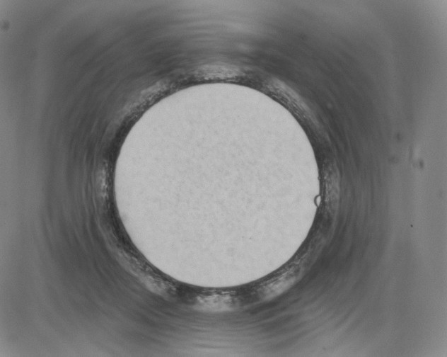 X0000080720362200701051040