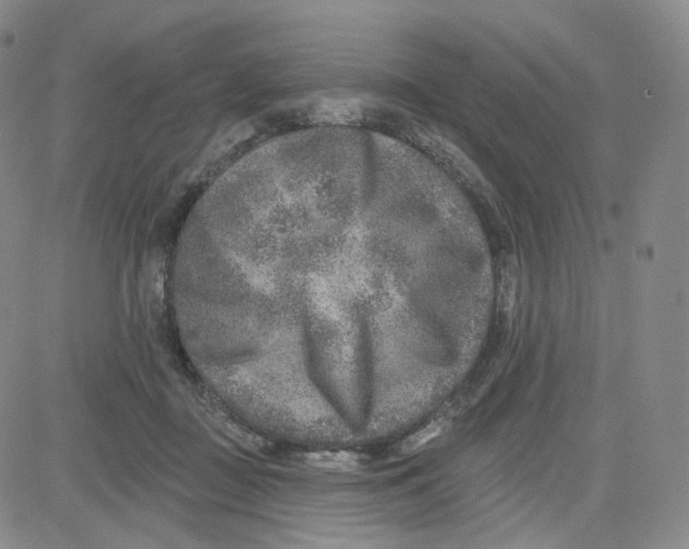 X0000080720363200701051040