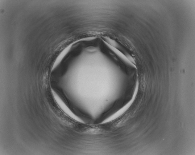 X0000080720364200701051040