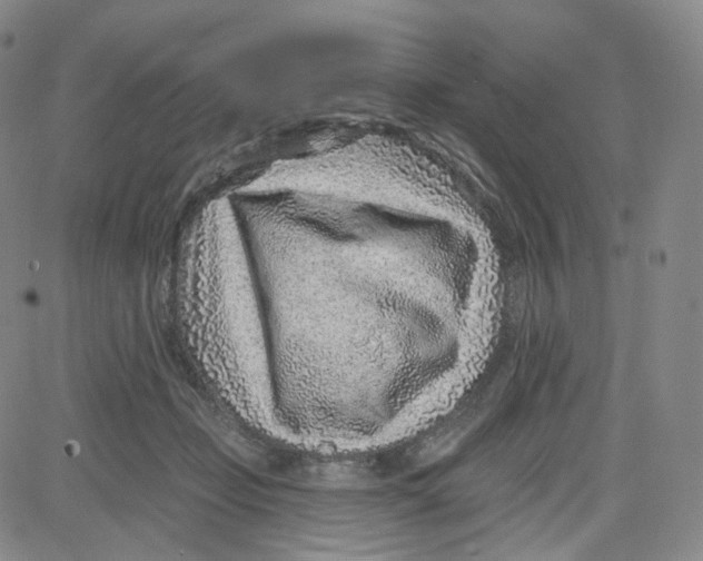 X0000080720365200701051040