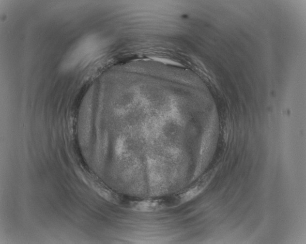 X0000080720366200701051040